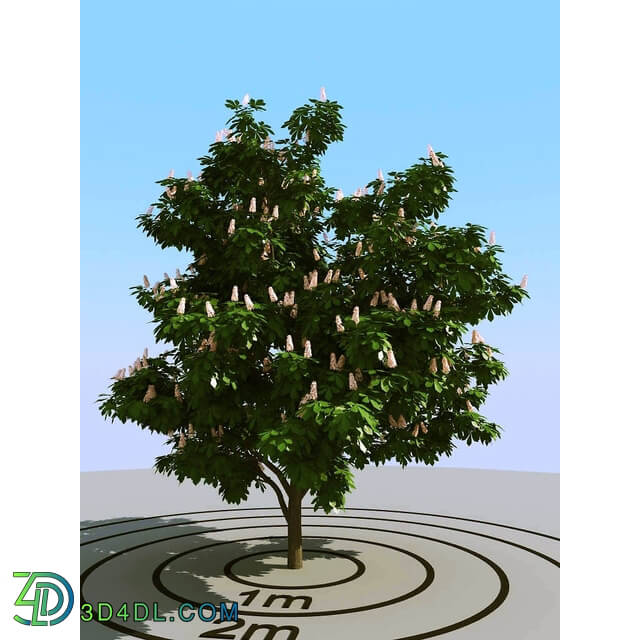 3dMentor HQPlants-01 (054) chestnut