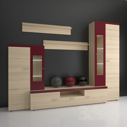 Wardrobe _ Display cabinets - Modern living room 