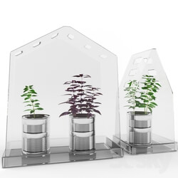 Plant - Vindruva IKEA 