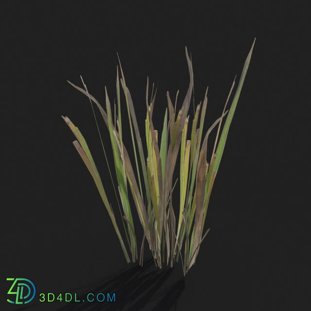 Maxtree-Plants Vol21 Dry grass 01 03
