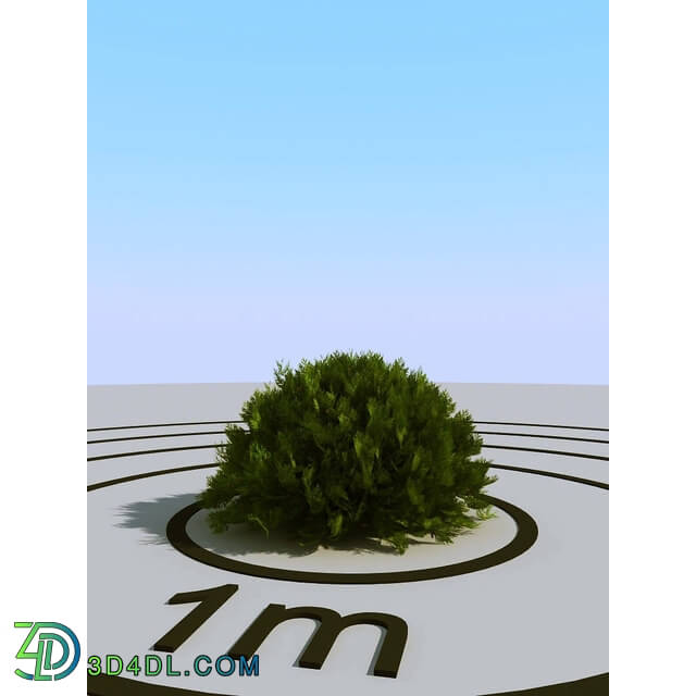 3dMentor HQPlants-02 (040) thuja