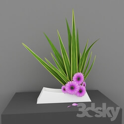 Plant - simple ikebana flower arrangement 