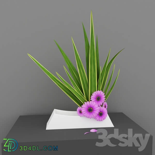 Plant - simple ikebana flower arrangement