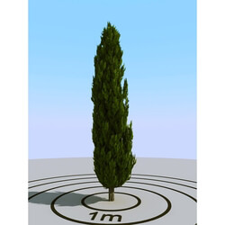 3dMentor HQPlants-02 (067) cypress 1 