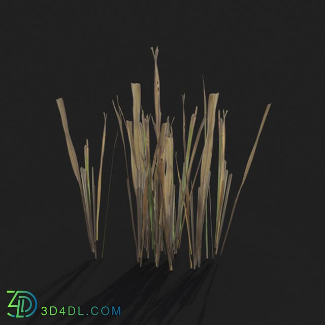 Maxtree-Plants Vol21 Dry grass 01 04