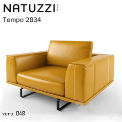 Arm chair - Natuzzi Tempo 2834 armchair 