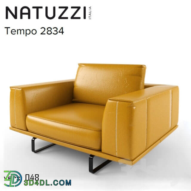 Arm chair - Natuzzi Tempo 2834 armchair