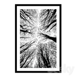 Frame - Forest in black and white colors. 