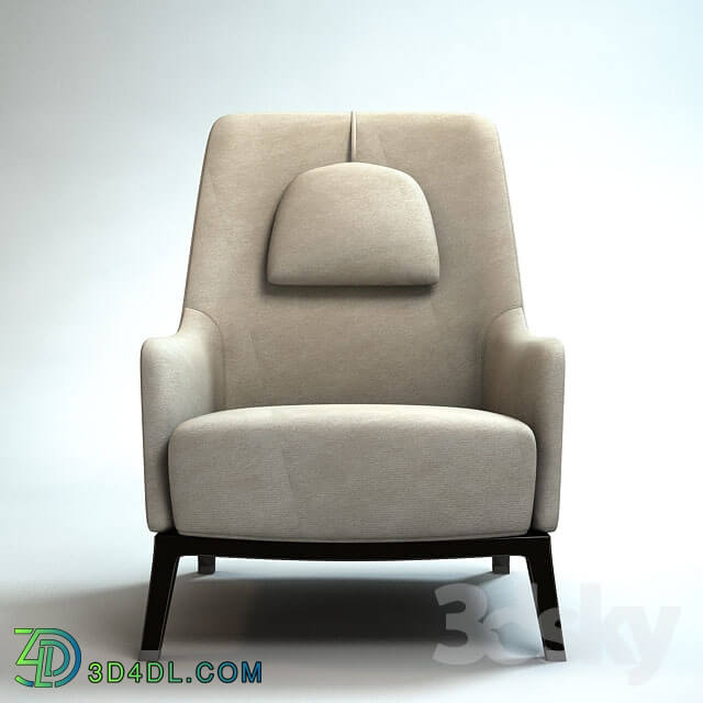 Arm chair - Leisure odd chair
