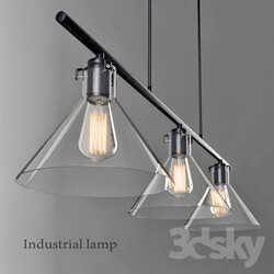 Ceiling light - Industrial lamp 