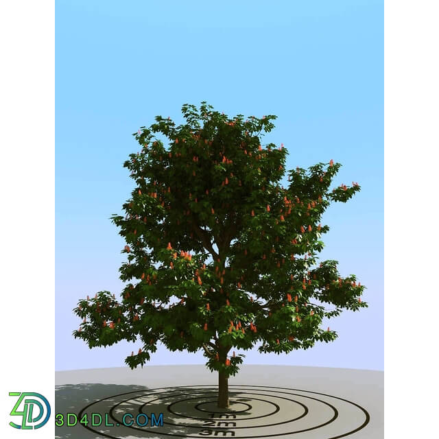 3dMentor HQPlants-01 (056) chestnut