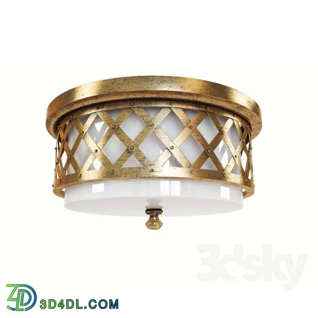 Ceiling light - ceiling lighting