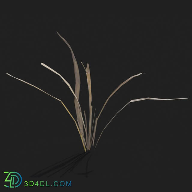 Maxtree-Plants Vol21 Dry grass 01 06