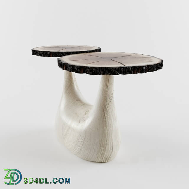 Table - Table fungus