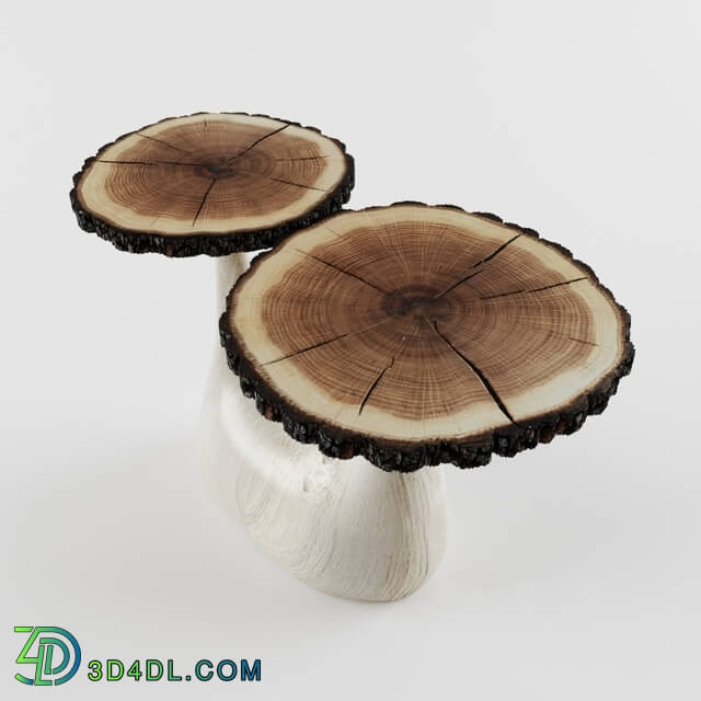 Table - Table fungus