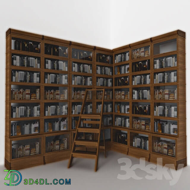 Wardrobe _ Display cabinets - Library