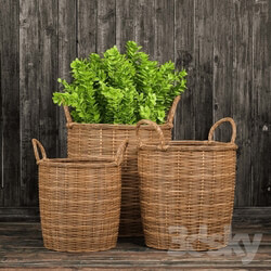 Other decorative objects - Basket with plants 