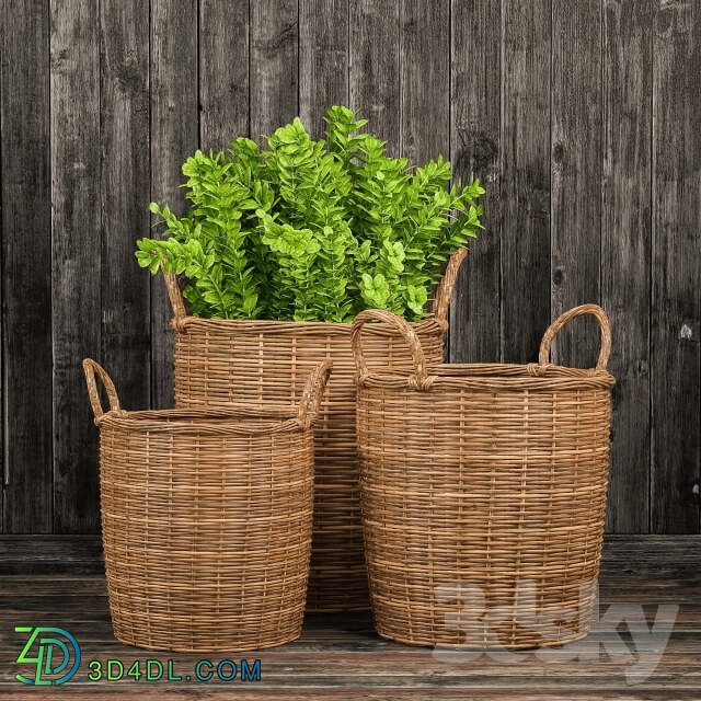 Other decorative objects - Basket with plants