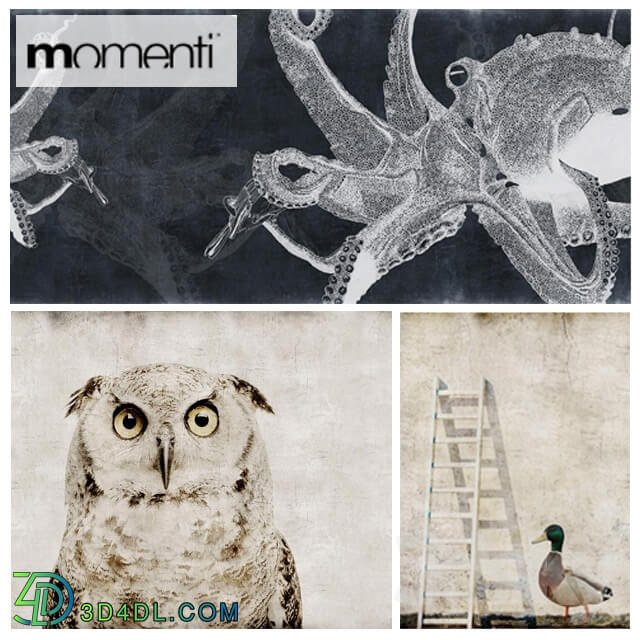 Wall covering - Wallpapers Momenti Animall