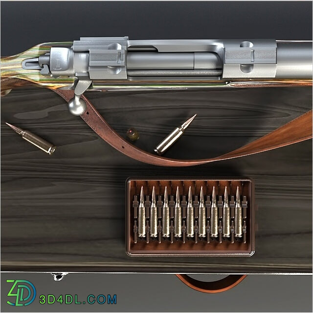 Weaponry - Ruger Guide Gun