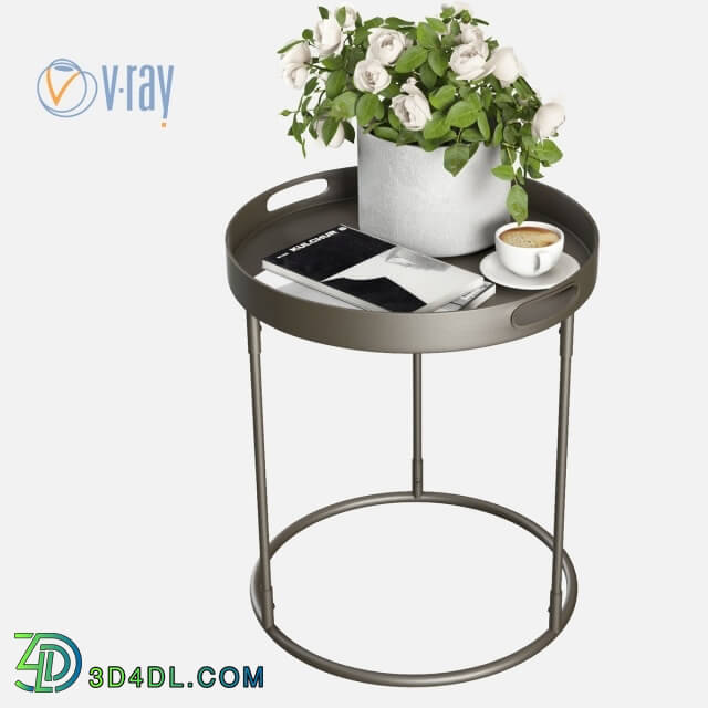 Plant - Pottery Barn Palmer Tray Table