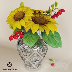 Vase - vase Galiatea 