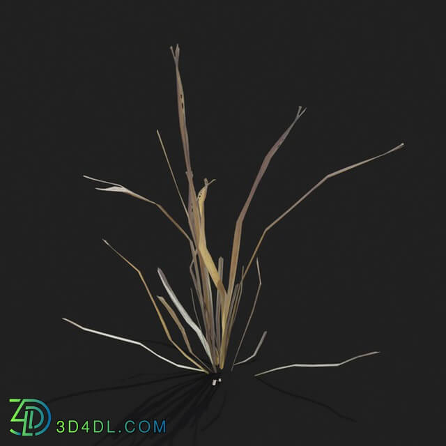 Maxtree-Plants Vol21 Dry grass 01 08