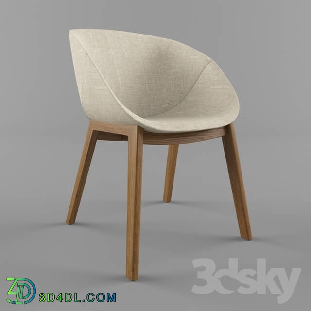 Chair - OM. Chair Domitalia CoquilleL