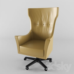 Arm chair - Kreslo_Giorgetti_Barry 