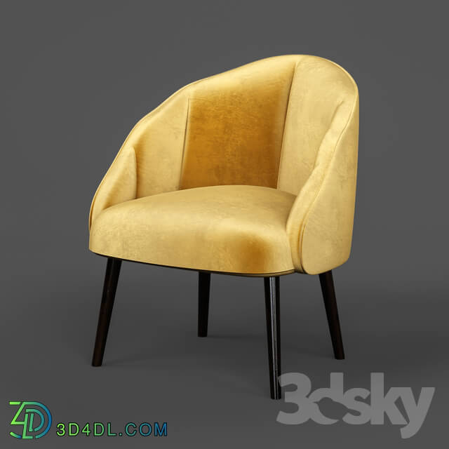 Arm chair - Armchair