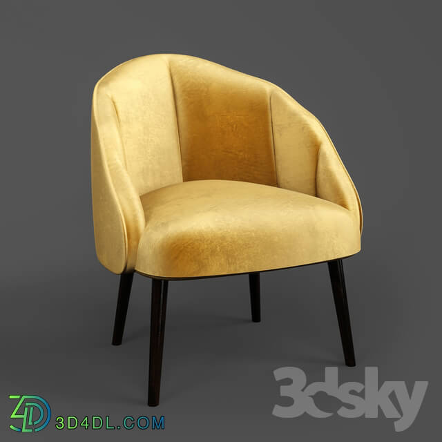 Arm chair - Armchair