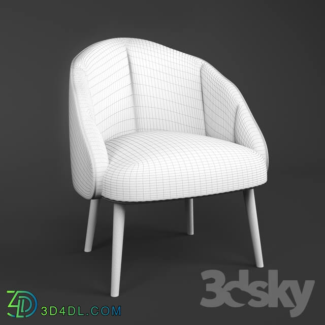 Arm chair - Armchair