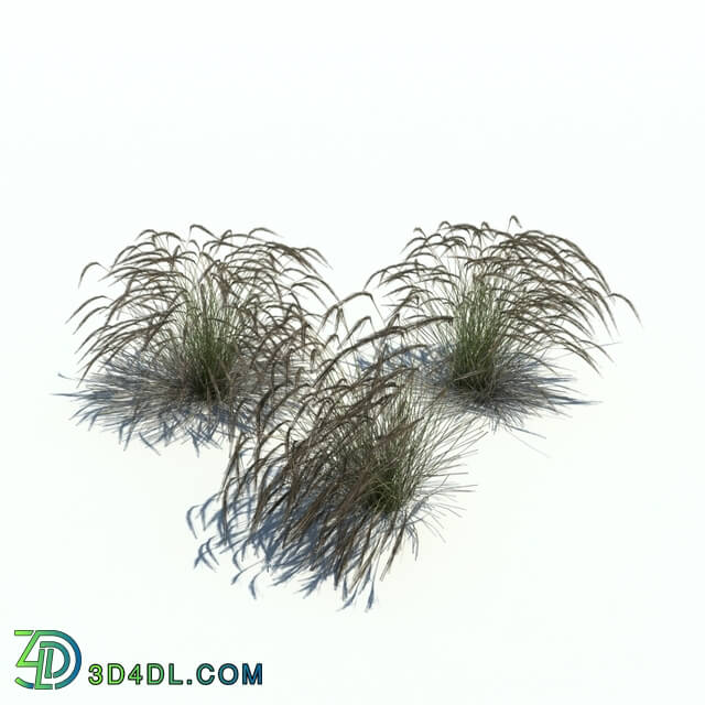 ArchModels Vol126 (036) Stipa v3