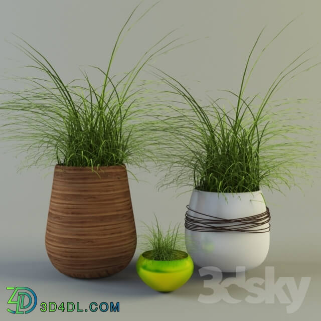 Vase - Flowerpots with grass