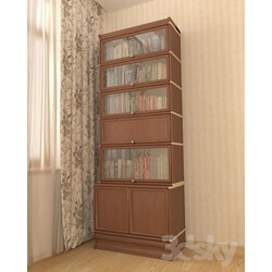 Wardrobe _ Display cabinets - Library 