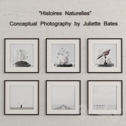 Frame - Histoires Naturelles 