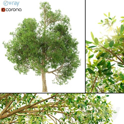 Plant - 3D model of a tree No. 1 