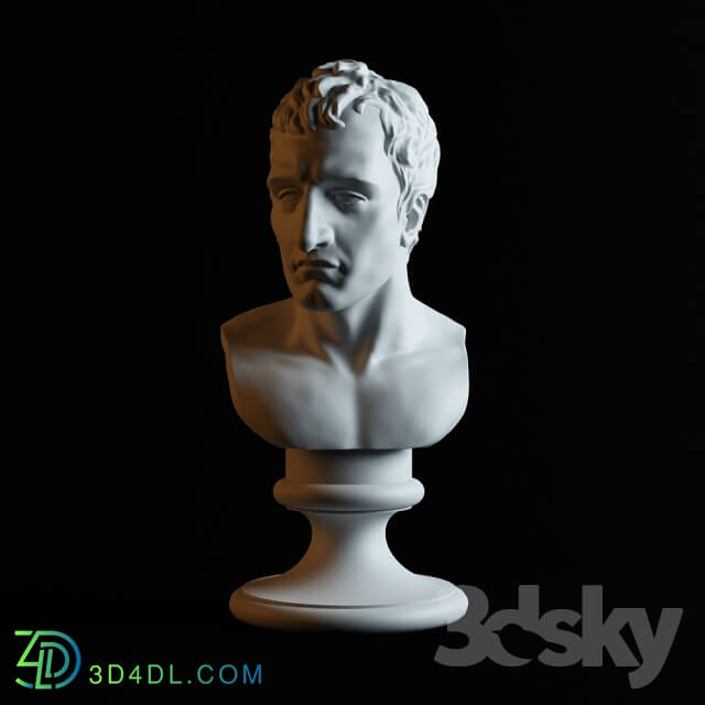 Sculpture - Bust of Napoleon