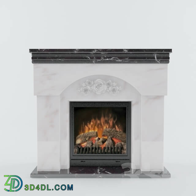 Fireplace - Fireplace in the marble portal