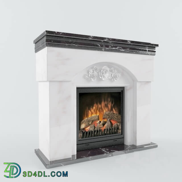 Fireplace - Fireplace in the marble portal