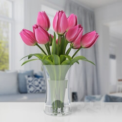 Plant - Tulips 