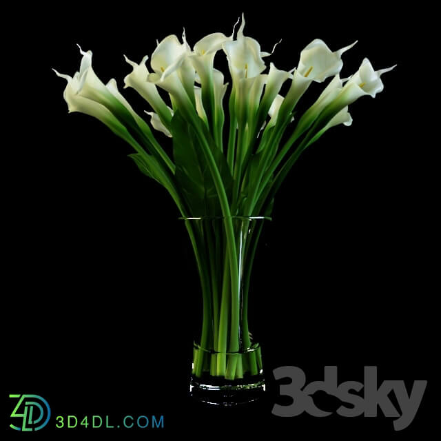 Plant - Calla bouquet