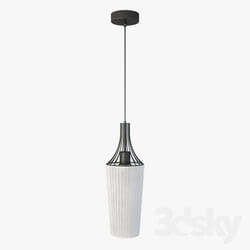 Ceiling light - Lussole LOFT LSN-5406-01 