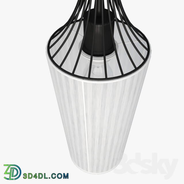 Ceiling light - Lussole LOFT LSN-5406-01