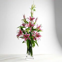 Plant - Lily bouquet 