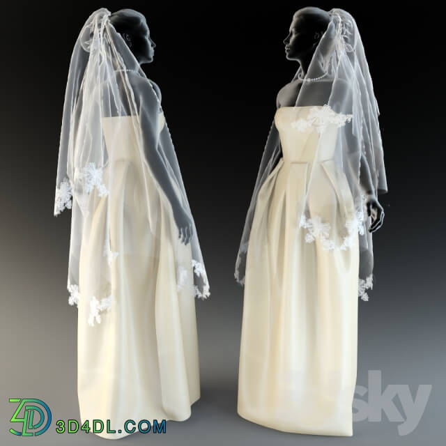 Clothes and shoes - wedding dress with veil-2