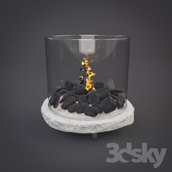 Fireplace - Bio Fireplace 