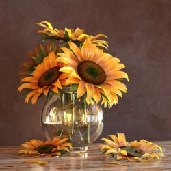 Plant - Sunflowers in a Vase 