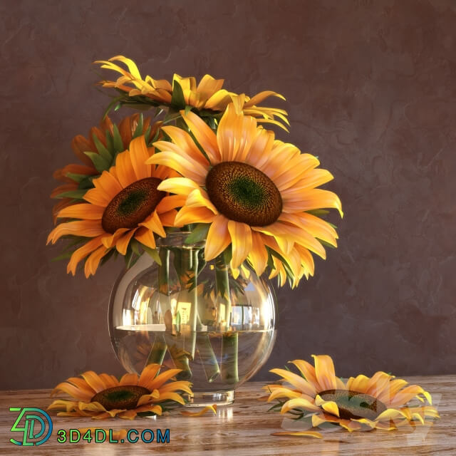 Plant - Sunflowers in a Vase