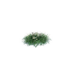 ArchModels Vol126 (004) simple grass small v1 